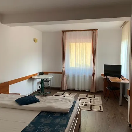 Vila Briana * Păltiniş